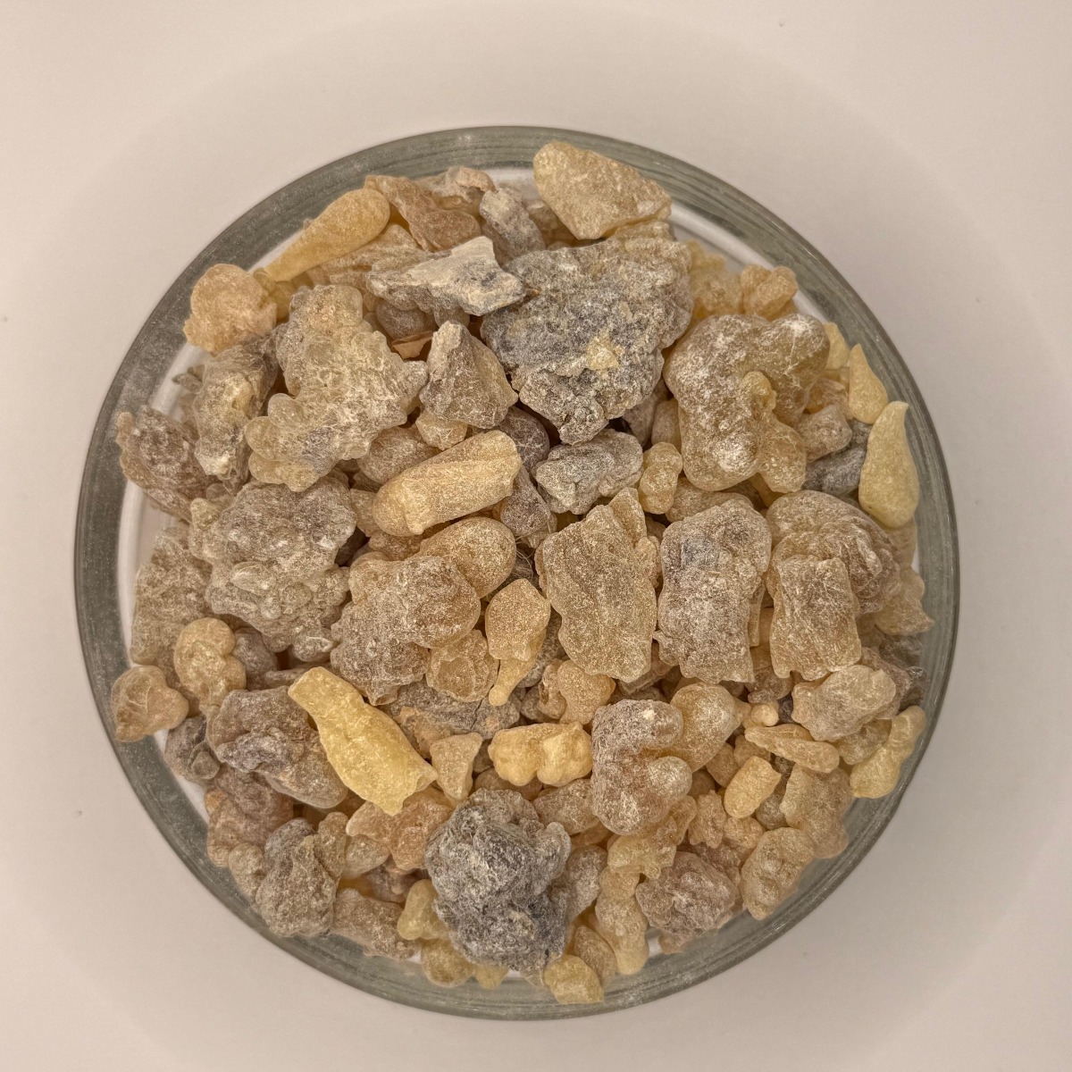 Boswellia papyrifera (Etan