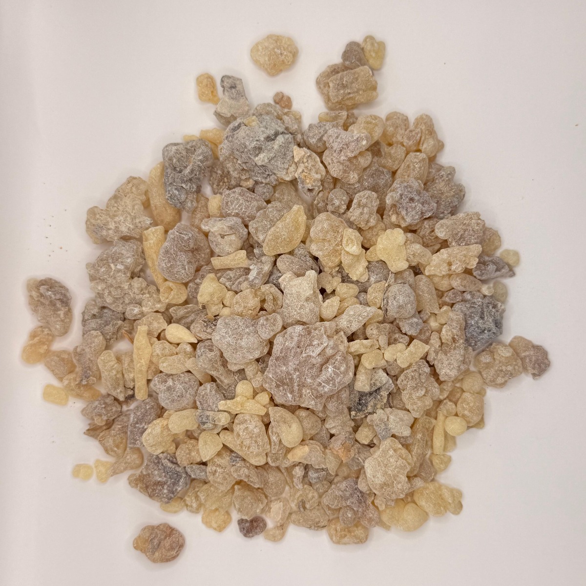 Boswellia papyrifera (Etan