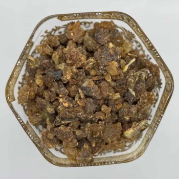 Myrrhe Commiphora myrrha 2 Grad